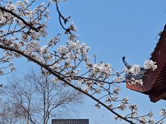 -堤角公园