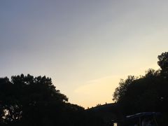 -西湖外事游船(花港观鱼码头)