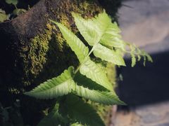 -盛邦家居建材广场