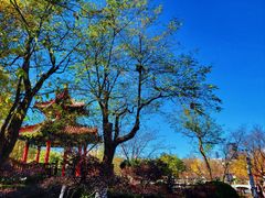 -大连植物园