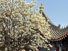 -西安市广仁寺