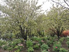 -江南大学(蠡湖校区)