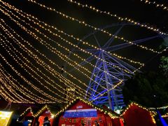 -锦江乐园舞狸花花游园会(夜场专享)