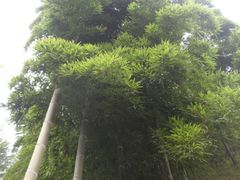 景点-众神白水涧景区
