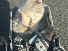 -比斯特上海购物村精品奥特莱斯