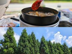 -重庆睡佛山森林公园