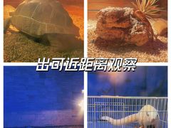 -常州淹城野生动物世界