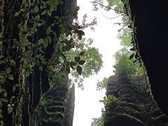 -梭布垭石林景区