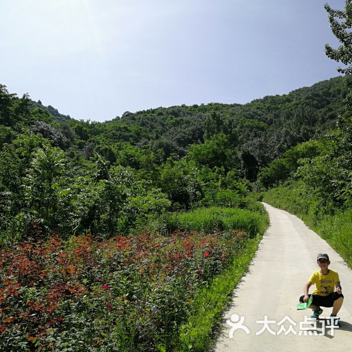 秦嶺國家植物園