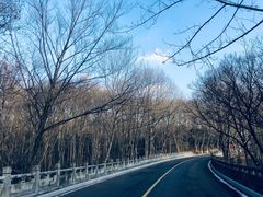 -灵谷景区