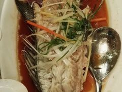 清蒸鲈鱼-粤湘情(珠海海泉湾店)