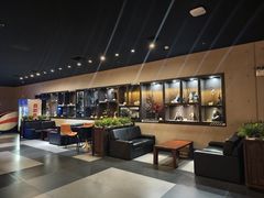 -万达影城(通州万达广场IMAX+杜比影院店)
