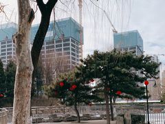 -黄村公园