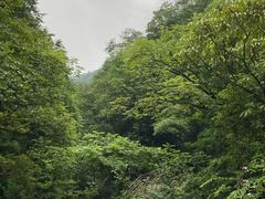 -西岭雪山大飞水景区