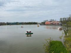 -上海长兴岛郊野公园