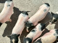 -水上乐园·欢乐世界