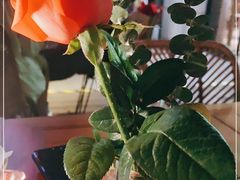 -ELI FALAFEL Lebanese&Mediterranean黎巴嫩美食(富城路店)