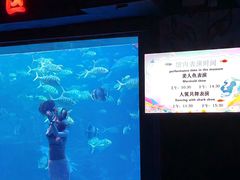 -太平洋海底世界