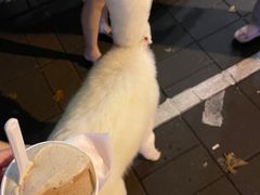 -Dip in Gelato(富民路店)