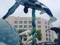 -海合安青岛极地海洋公园