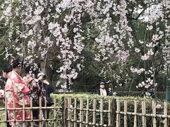 -京都御所