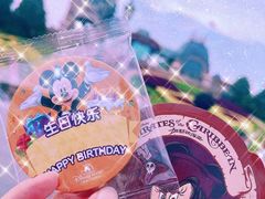 -上海迪士尼度假区