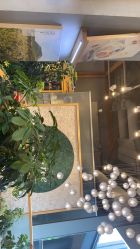 -悦诗风吟innisfree