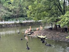 -黔灵山公园