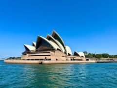 -麦考利夫人座椅