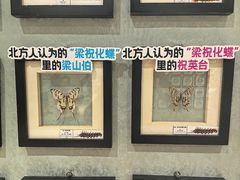 -深圳龙华星河COCO City(民治店)