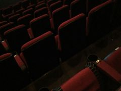 放映厅-万达影城(南海万达广场IMAX店)