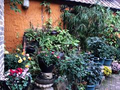 -园林美食城·本土农家菜(杨和镇店)