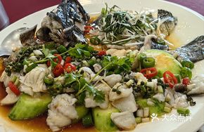 Sichuan Pepper Steamed Rockfish