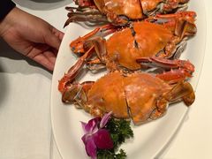 -望海湾海鲜楼·海鲜(河南路店)