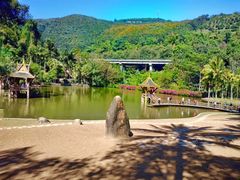 -西双版纳原始森林公园
