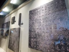 -白鹤梁水下博物馆