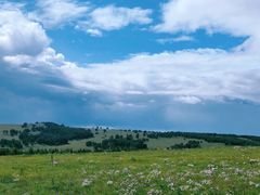 -塞罕坝国家级自然保护区