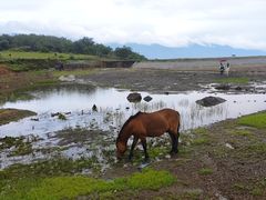 -玉湖村