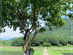 -八卦田遗址公园