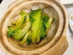 -新雅粤菜馆(南京东路店)