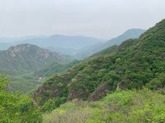 -大岭沟猕猴桃谷风景区