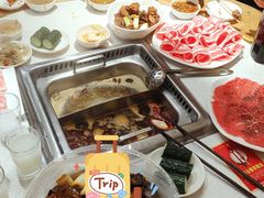 -颐辰舍岁岁羊(文昌万达景园店)