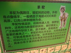 -清风小镇闯关东影视基地