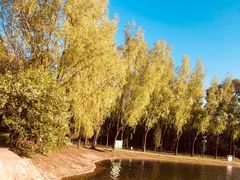 -森林公园(尖草坪区)