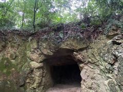 -上海佘山国家森林公园天马山园