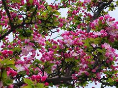 -元大都城垣遗址公园