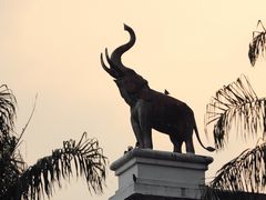 -清迈夜间动物园