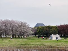 -阳澄湖半岛旅游度假区