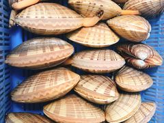 -南沙十九涌渔人码头-南门