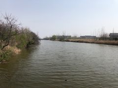 -盐城丹顶鹤湿地生态旅游区